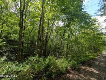 158 Jess Ridge Rd, Lancing, TN 37770