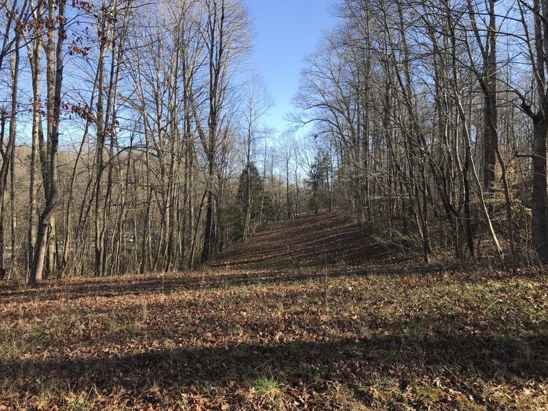 1580 Old Sugarlimb Road Rd, Loudon, TN 37774