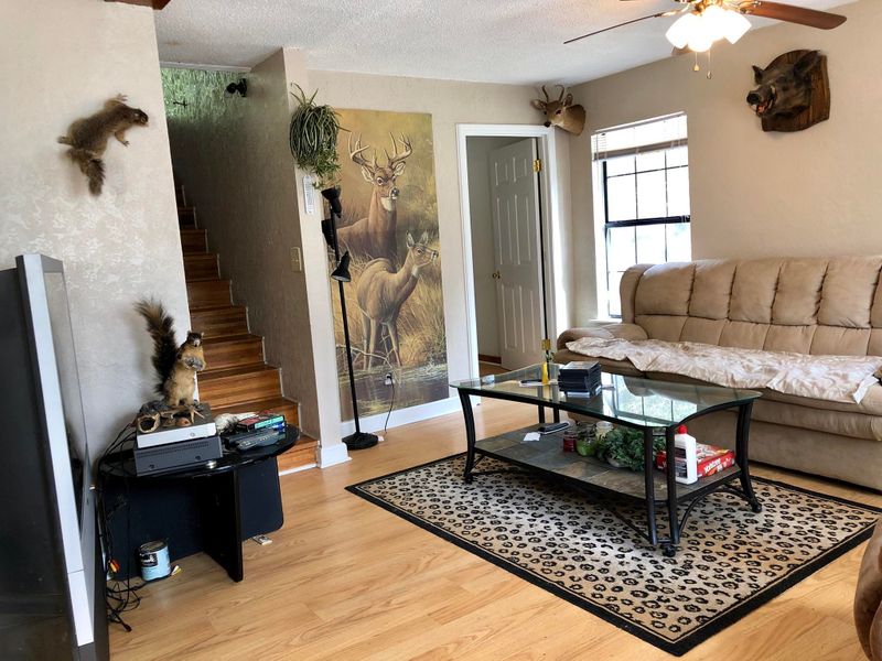 1594 Chestnut Valley Rd, Vonore, TN 37885