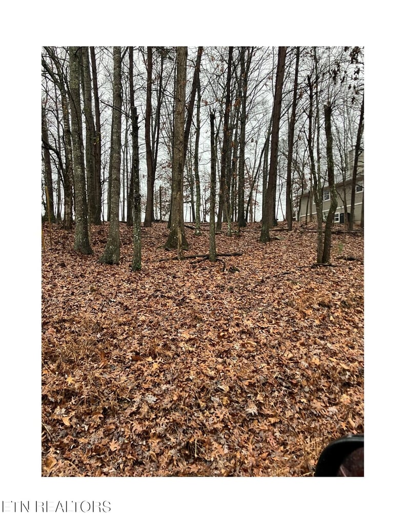 16 Berkeley, Crossville, TN 38558