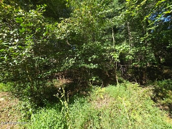 16 Holly Ct, Crossville, TN 38558