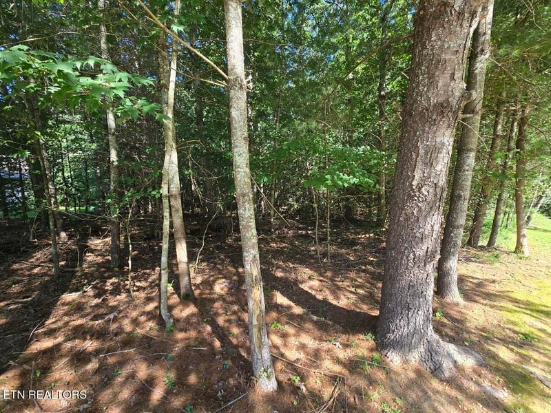 16 Holly Ct, Crossville, TN 38558