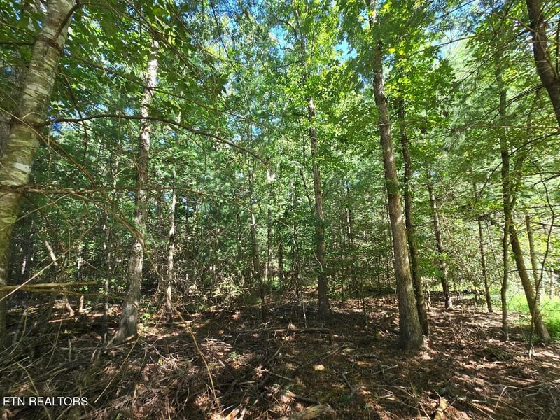 16 Holly Ct, Crossville, TN 38558
