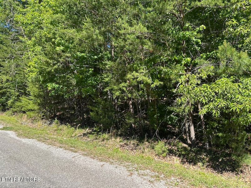 16 Norwood Pl, Crossville, TN 38558