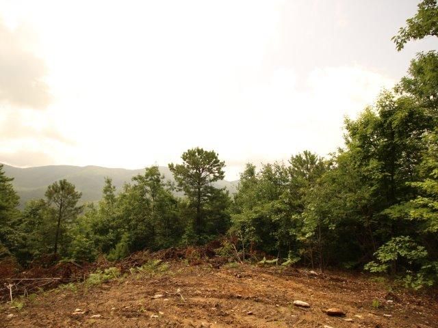 16 Smithfield Rd #16, Tellico Plains, TN 37385