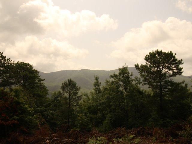 16 Smithfield Rd #16, Tellico Plains, TN 37385