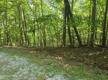 16 Trentwood Ter, Crossville, TN 38558