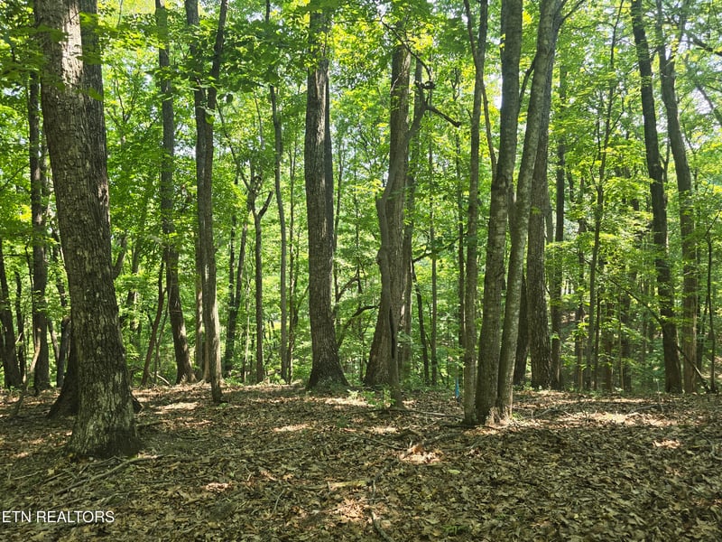 16 Trentwood Ter, Crossville, TN 38558