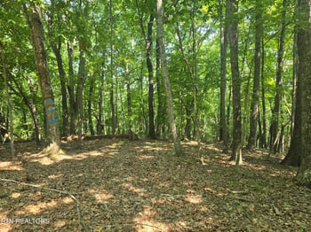 16 Trentwood Ter, Crossville, TN 38558