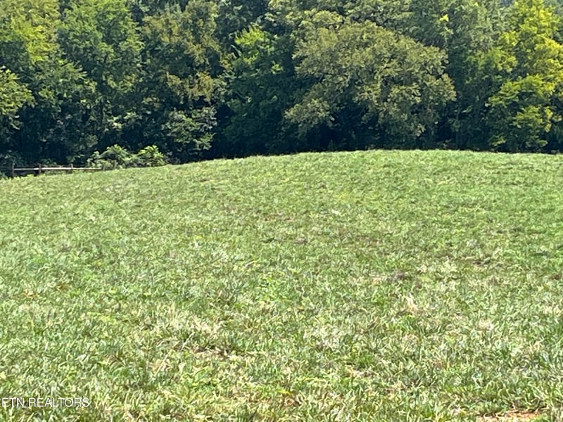 160 County Road 968, Delano, TN 37325