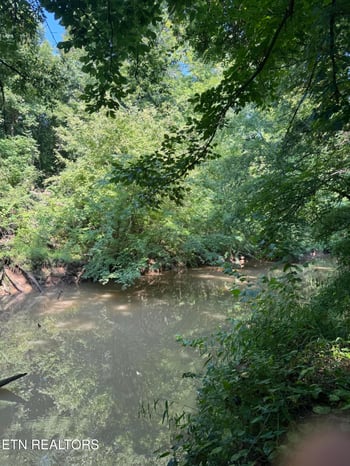 160 County Road 968, Delano, TN 37325