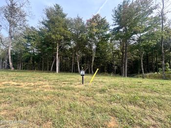 160 Flip Flop Way, Loudon, TN 37774