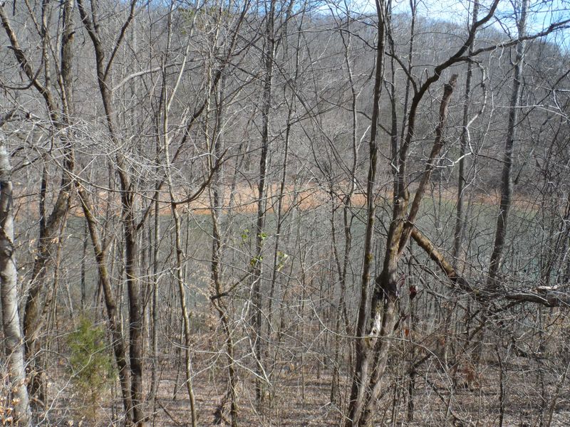 160 Hiwassee Dr, Jacksboro, TN 37757