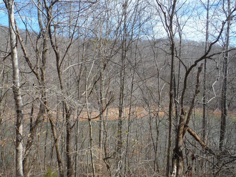 160 Hiwassee Dr, Jacksboro, TN 37757