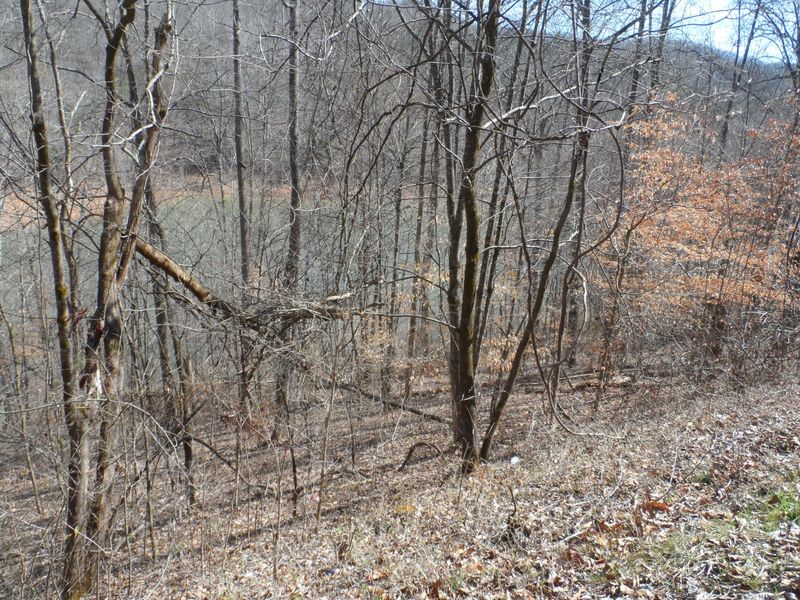 160 Hiwassee Dr, Jacksboro, TN 37757