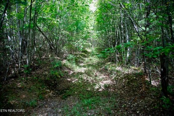 160 John Cox Rd, Deer Lodge, TN 37726