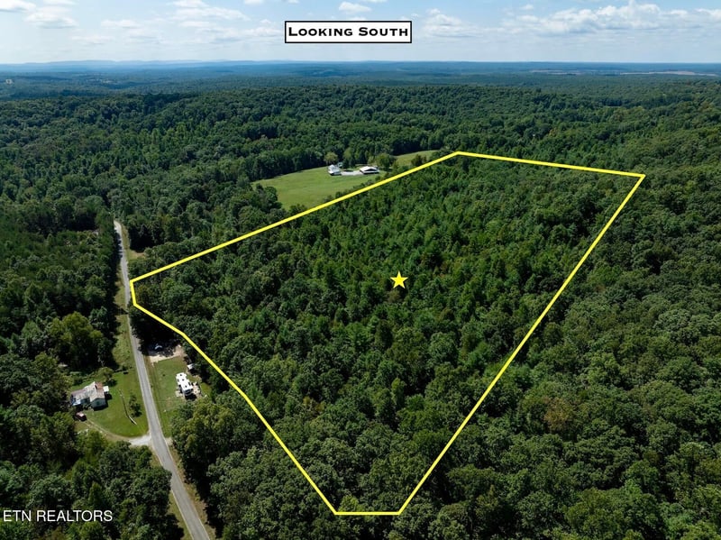 160 John Cox Rd, Deer Lodge, TN 37726