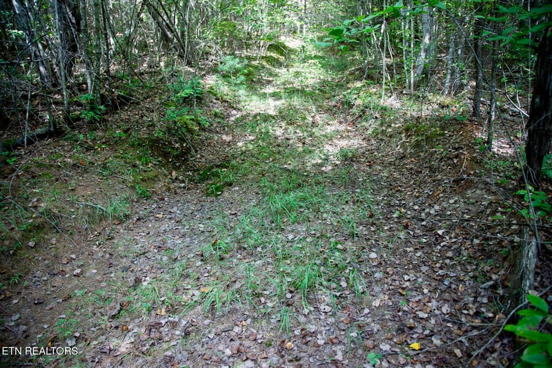 160 John Cox Rd, Deer Lodge, TN 37726