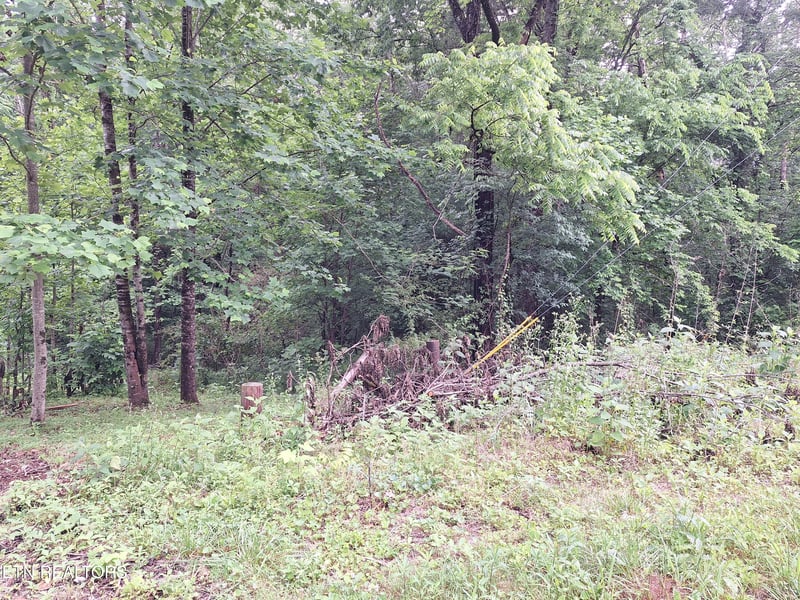 160 Mountain Rd, Tellico Plains, TN 37385
