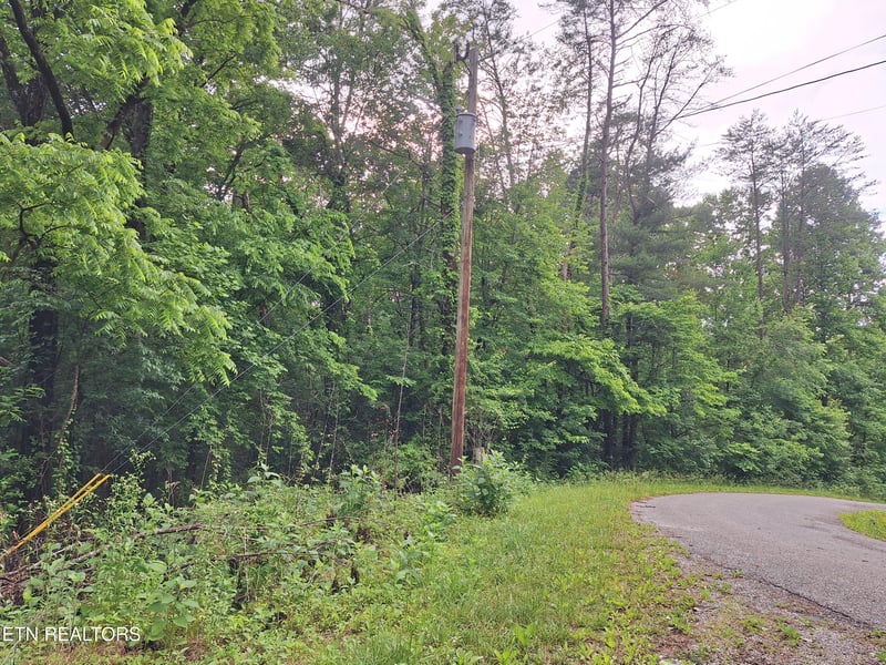 160 Mountain Rd, Tellico Plains, TN 37385