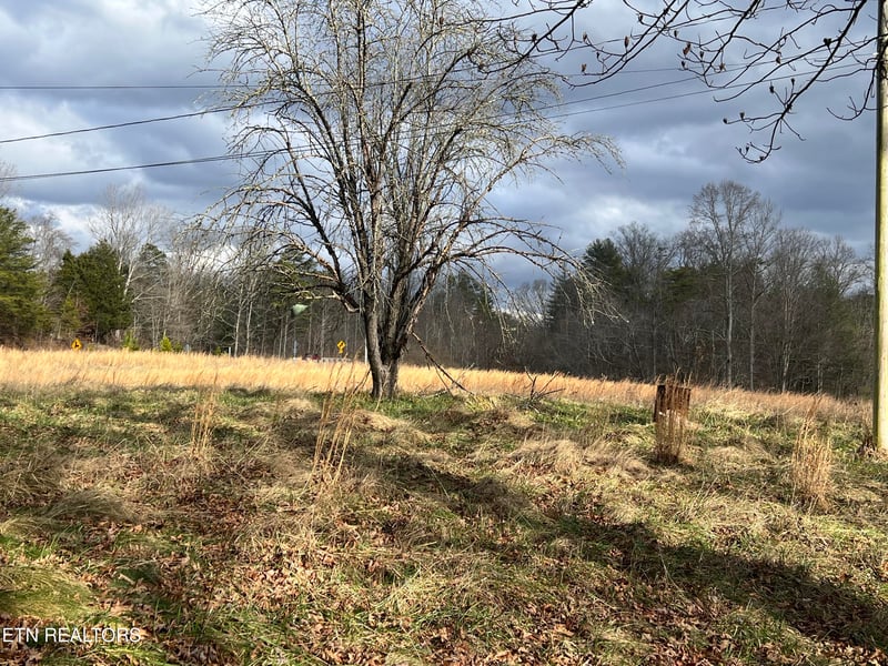 1600 Paint Rock Rd, Oneida, TN 37841