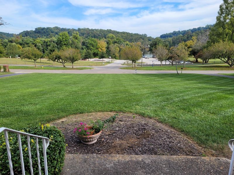 1603 Cherokee Blvd, Knoxville, TN 37919