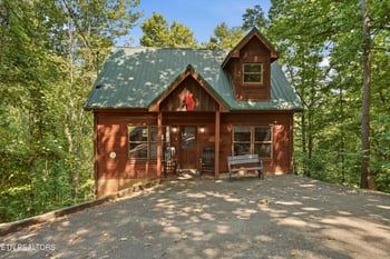 1605 Silver Poplar Ln, Sevierville, TN 37876
