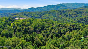 1607 Mountain Shadow Way, Gatlinburg, TN 37738