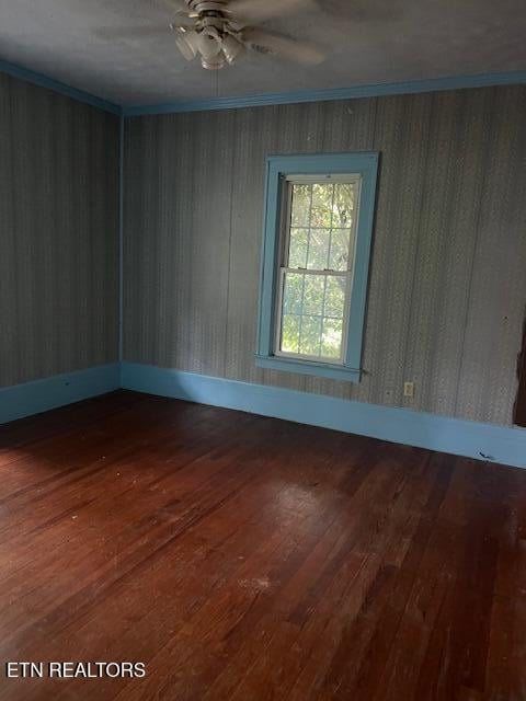 1608 Hwy 116, Caryville, TN 37714