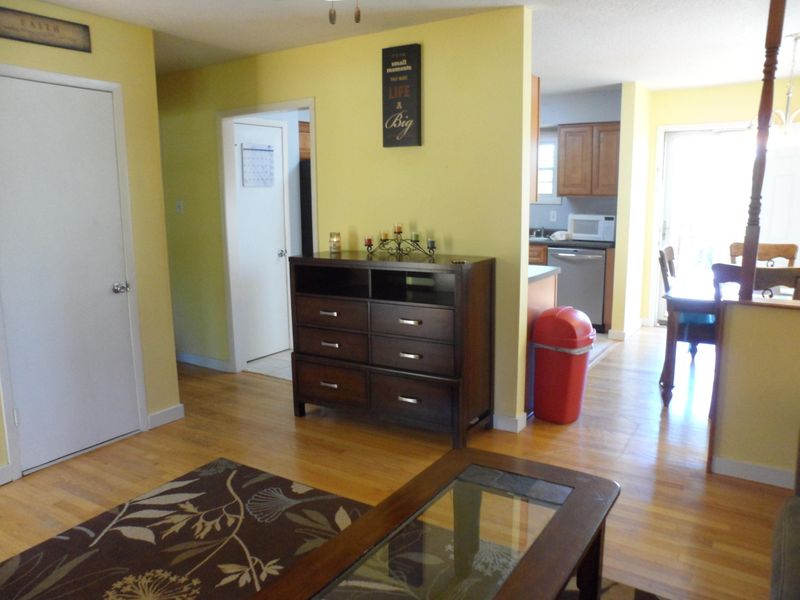 1609 Flora Dr, Louisville, TN 37777