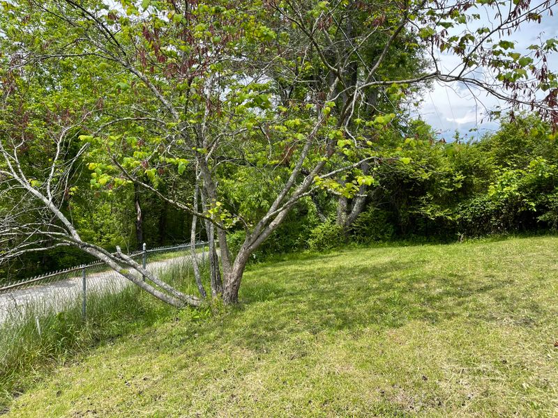 161 Gamble Ln, Lafollette, TN 37766