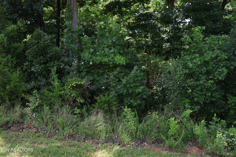 161 Highland Reserve Way, Kingston, TN 37763