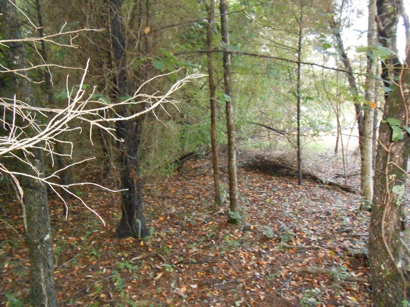 161 Pocola Way, Loudon, TN 37774