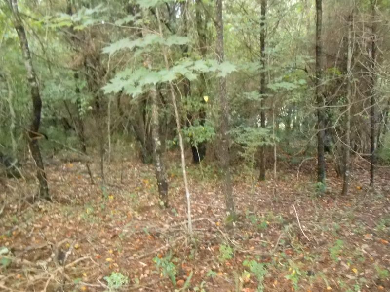 161 Pocola Way, Loudon, TN 37774