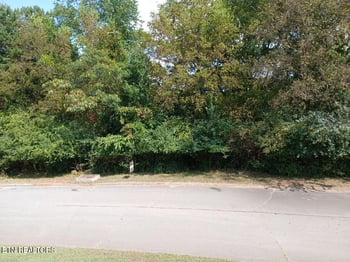 161 Trail View Dr, Loudon, TN 37774