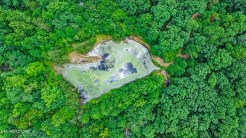 16147 Highway 70n, Monterey, TN 38574