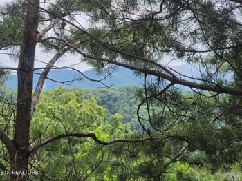 1615 Misty Hollow Way, Gatlinburg, TN 37738