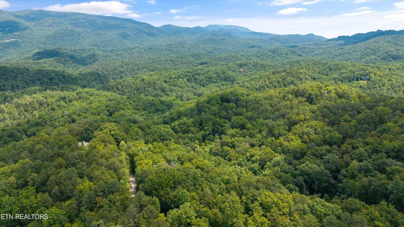 1618 Walnut Flats Rd, Walland, TN 37886