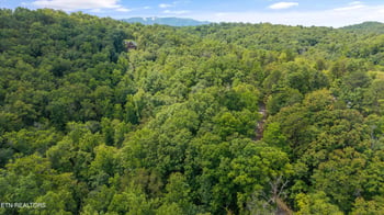 1618 Walnut Flats Rd, Walland, TN 37886