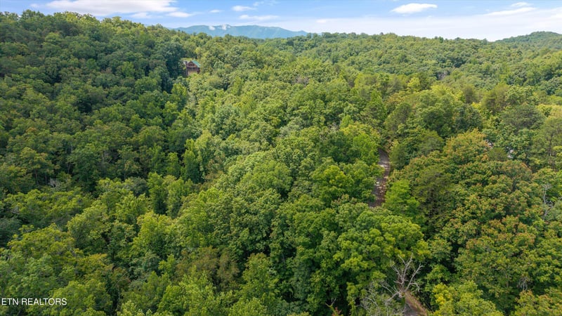 1618 Walnut Flats Rd, Walland, TN 37886