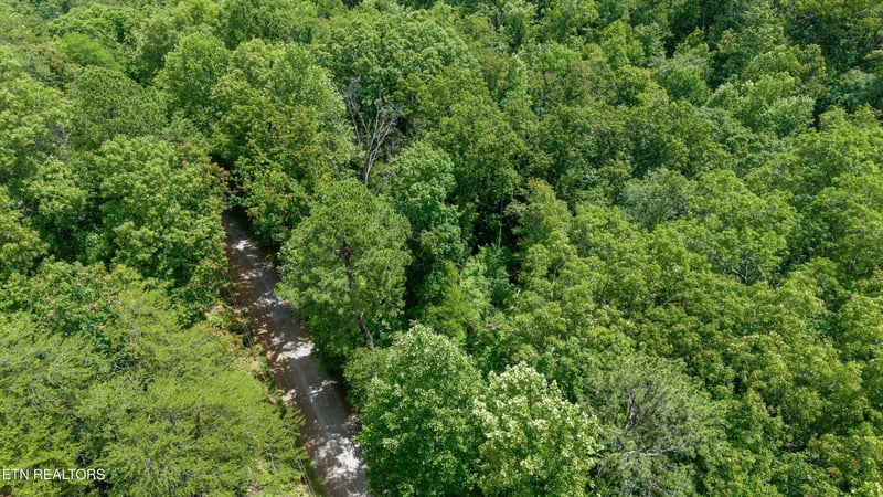 1618 Walnut Flats Rd, Walland, TN 37886