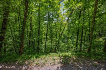 1618 Walnut Flats Rd, Walland, TN 37886