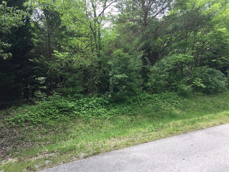 162 Amohi Way, Loudon, TN 37774