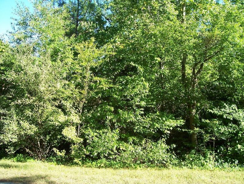 162 Gigi, Loudon, TN 37774