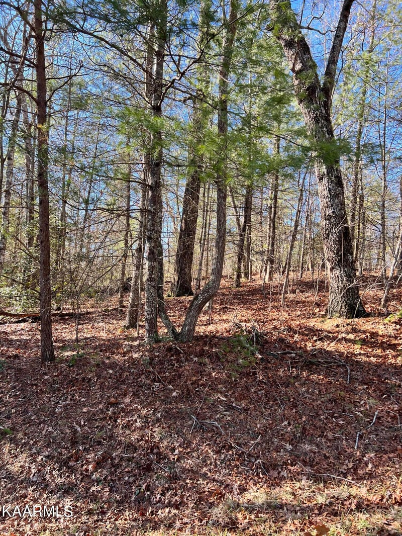 162 Natchez Cir, Crossville, TN 38558