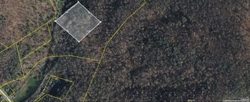 162 Tommy Phillips Ln, Briceville, TN 37710