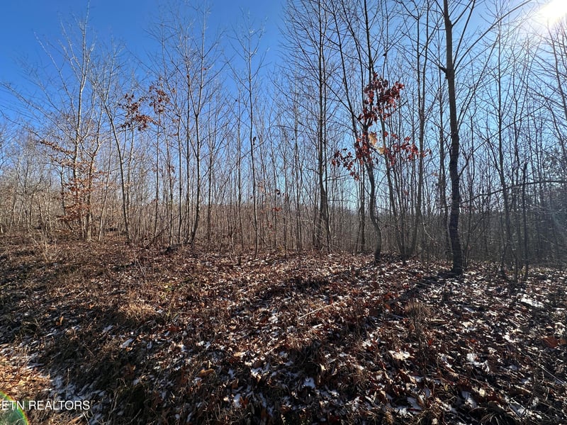 162.45ac Mill Creek Rd, Sunbright, TN 37872