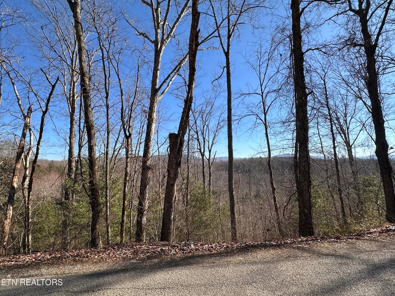 162.45ac Mill Creek Rd, Sunbright, TN 37872