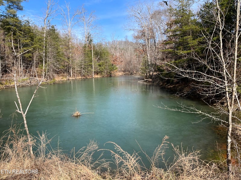 162.45ac Mill Creek Rd, Sunbright, TN 37872