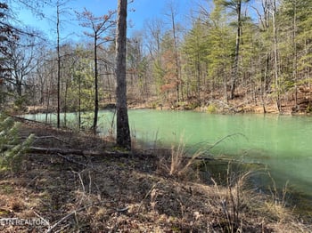 162.45ac Mill Creek Rd, Sunbright, TN 37872
